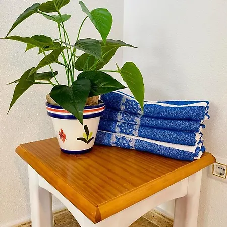 Costa Lunar In Cabo Roig Apartment